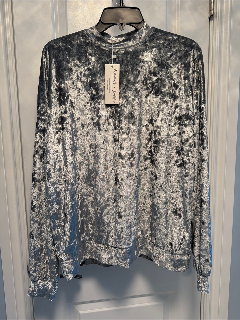NWT Emma & Sam Silver Crushed Velvet Long Sleeve Top XS